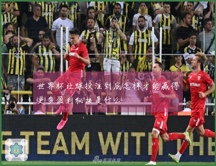 世界杯让球投注到底怎样才能赢得更多盈利秘诀是什么