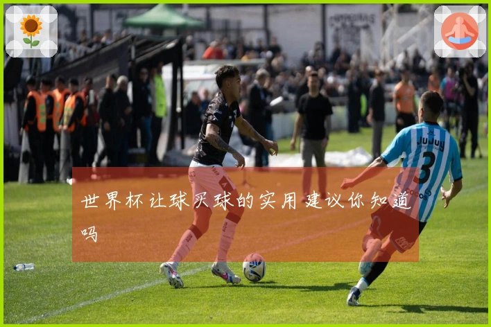 世界杯让球买球的实用建议你知道吗