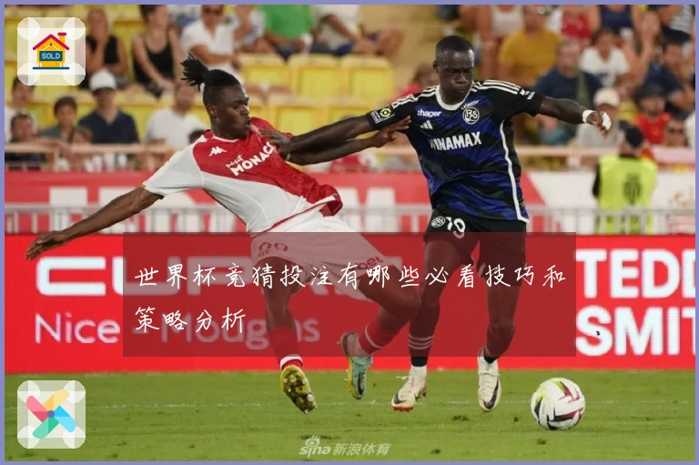 世界杯竞猜投注有哪些必看技巧和策略分析