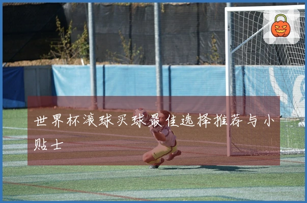 世界杯滚球买球最佳选择推荐与小贴士