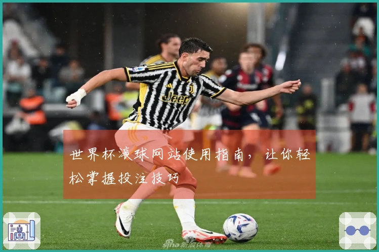 世界杯滚球网站使用指南，让你轻松掌握投注技巧