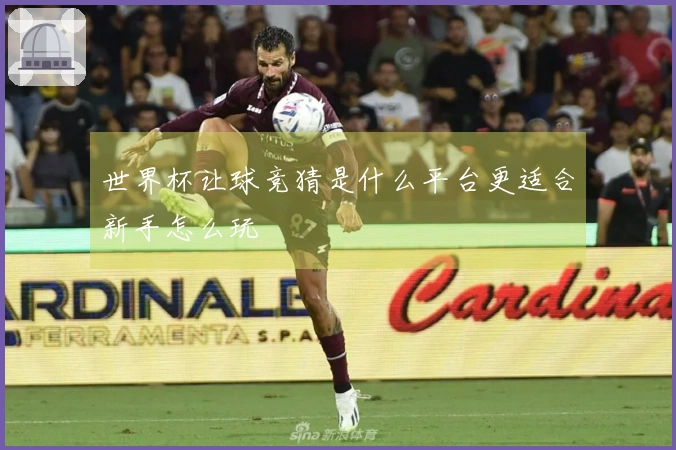 世界杯让球竞猜是什么平台更适合新手怎么玩
