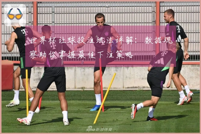 世界杯让球投注玩法详解：数据观察助你掌握最佳下注策略
