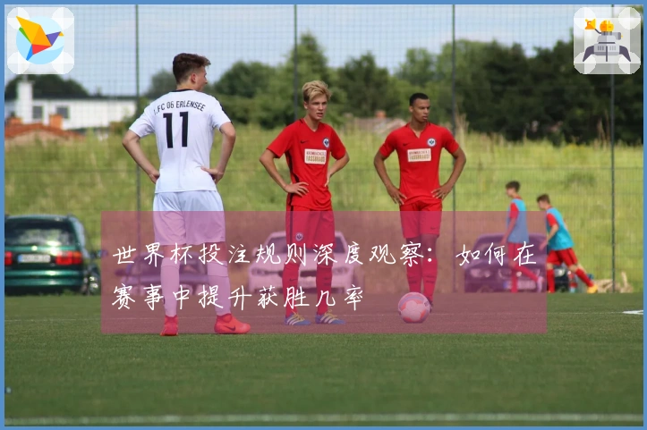 世界杯投注规则深度观察：如何在赛事中提升获胜几率
