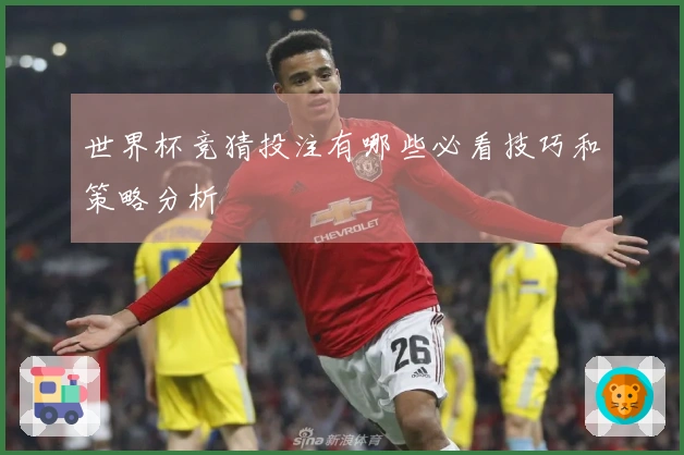 世界杯竞猜投注有哪些必看技巧和策略分析