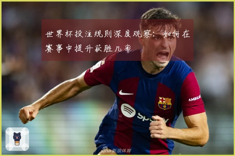 世界杯投注规则深度观察：如何在赛事中提升获胜几率