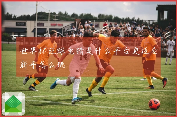 世界杯让球竞猜是什么平台更适合新手怎么玩