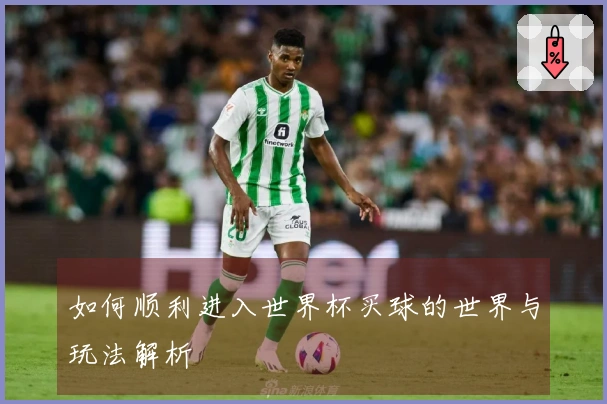 如何顺利进入世界杯买球的世界与玩法解析